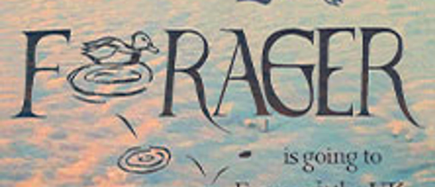 Grafik mit dem Schriftzug Forager, einer fliegenden Motte und Wolken im Hintergrund