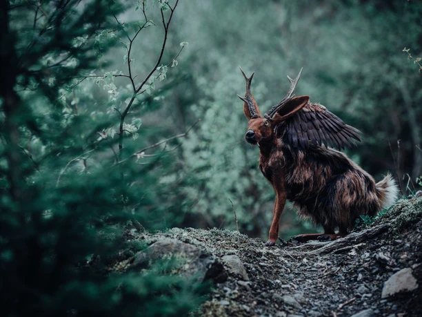 Forgotten_Creatures_Wolpertinger-scaled.jpg