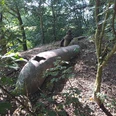 Hoffmanns Rieselwiesen Bad Salzuflen.jpg
