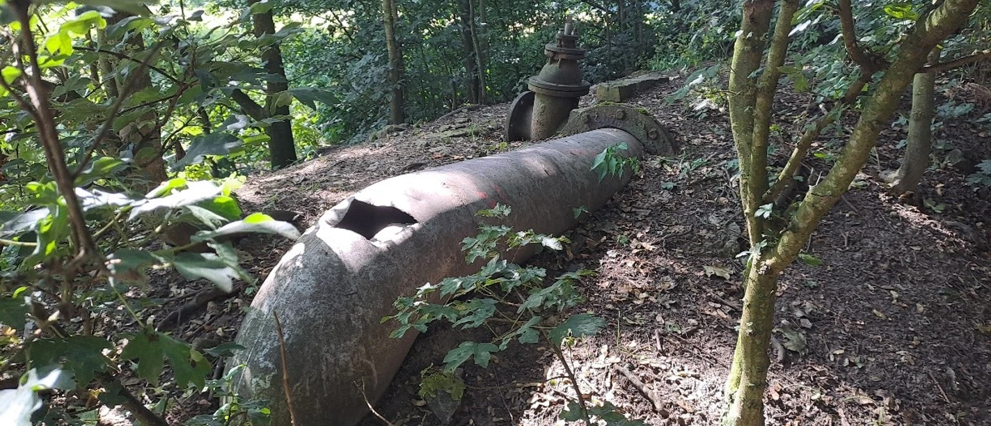 Hoffmanns Rieselwiesen Bad Salzuflen.jpg