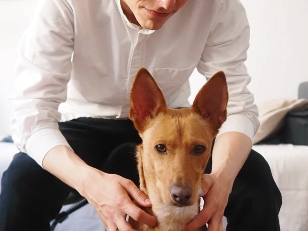 Samuel Kramer und Miko_C_Jakob Kielgaß.jpg