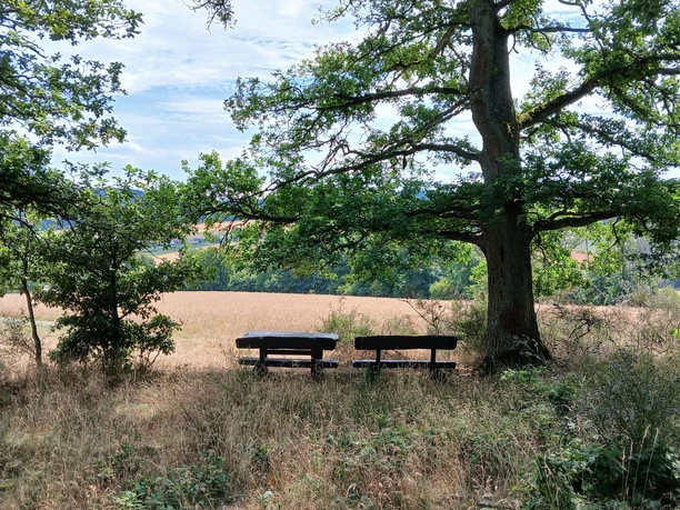 LS_Castellum_Dörsterberg (2).jpg