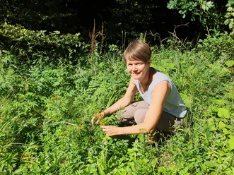 Naturea Blumen Kraeuter Sammeln Luthern Willisau (1)