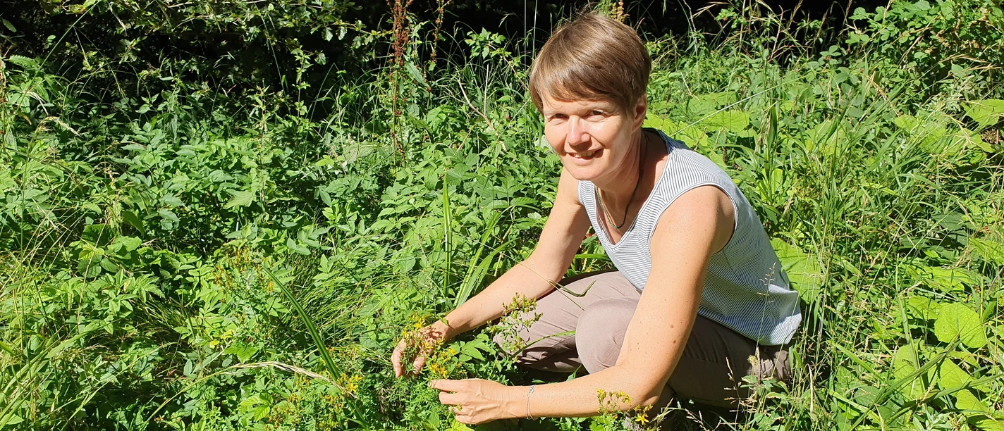 Naturea Blumen Kraeuter Sammeln Luthern Willisau (1)