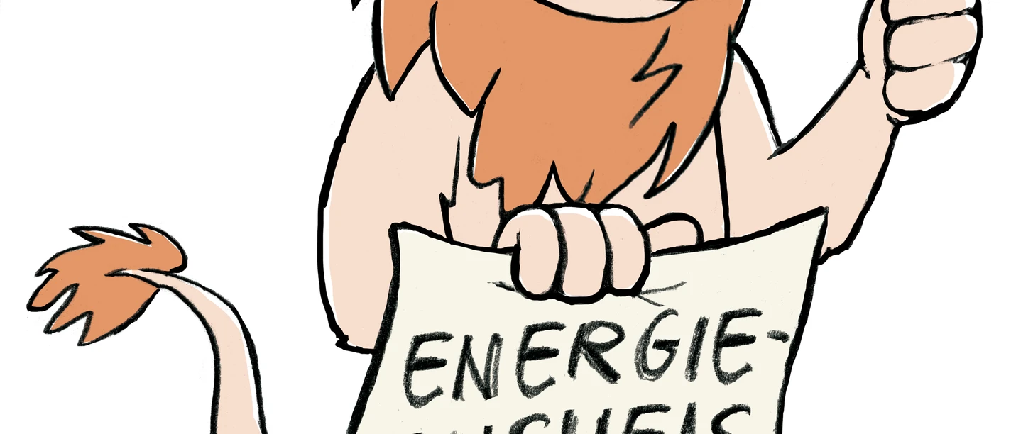 BS_Loewe_Energieausweis_rgb.png BS_Loewe_Energieausweis_rgb.png
