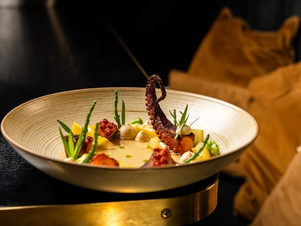 PULS - Restaurant & Bar Octopus and vegetables artfully arranged in a light-colored bowl, against a dark background