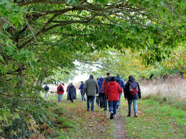 Kantonaler Wandertag Pro Senectute