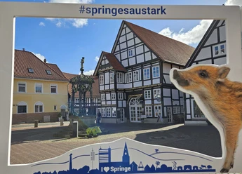 Springe saustark und liebenswert © Anja Naser