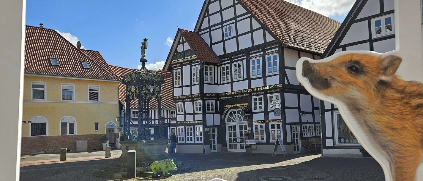 Springe saustark und liebenswert © Anja Naser