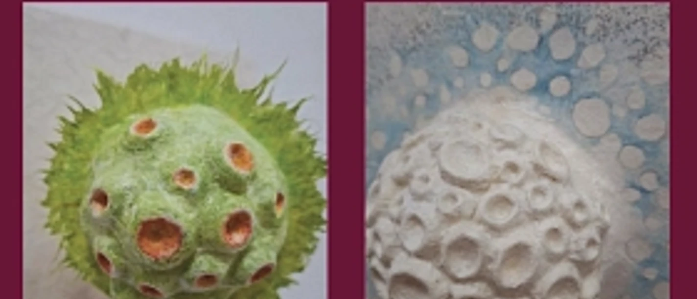 Galerie Sonja Wachter.png