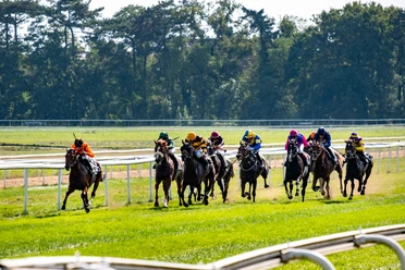 Cologne-Weidenpesch racecourse Racehorses with jockeys in bright colors gallop on grass track