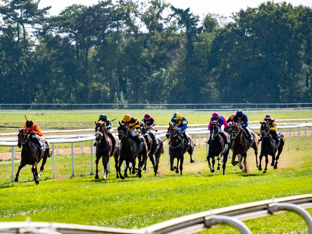 Cologne-Weidenpesch racecourse Racehorses with jockeys in bright colors gallop on grass track