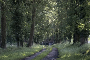 Lönsberg 05.jpg