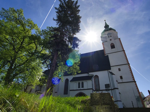 Na obrázku je městský kostel svatého Václava ve Wurzenu, na jehož schodech svítí slunce a zelená tráva.