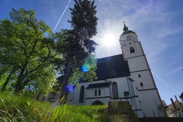 Stadtkirche St. Wenceslai in Wurzen Auf dem Bild ist die Stadtkirche St. Wenceslai in Wurzen zu sehen, bei Sonnenschein und saftigem grünen Gras am Treppenaufgang.
