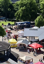 Fisch- und Genussmarkt auf der Rennbahn Köln Weidenpesch Blick auf bunten Open-Air-Markt mit Ständen, Besuchern und großen Bäumen im Hintergrund.