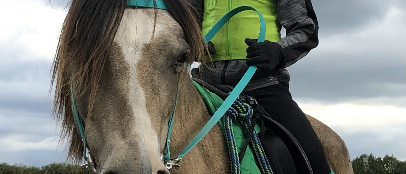 tempImage0DZKzZ.png Ponylehrpfad Krukow