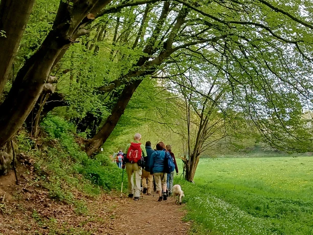 AS_Aarway_to_Heaven (2).jpg