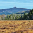 Brocken_Torhaus_Moor
