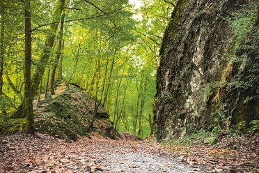 Radweg Stille Post, Felsdurchbruch Brölbachtal