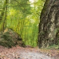 Radweg Stille Post, Felsdurchbruch Brölbachtal
