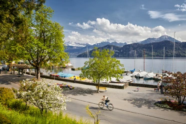 Seepromenade in Weggis