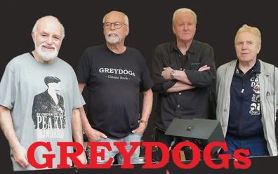 Greydogs.jpeg