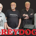 Greydogs.jpeg