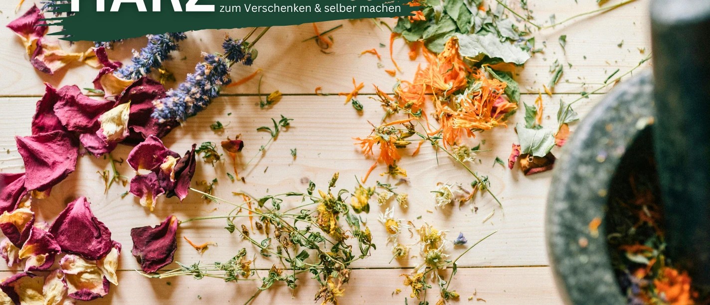 Kräuterwanderung