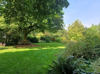 Mori Garten Einladender grüner Garten mit weiter Rasenfläche und einer Rundbank unter einem schattigen Baum.