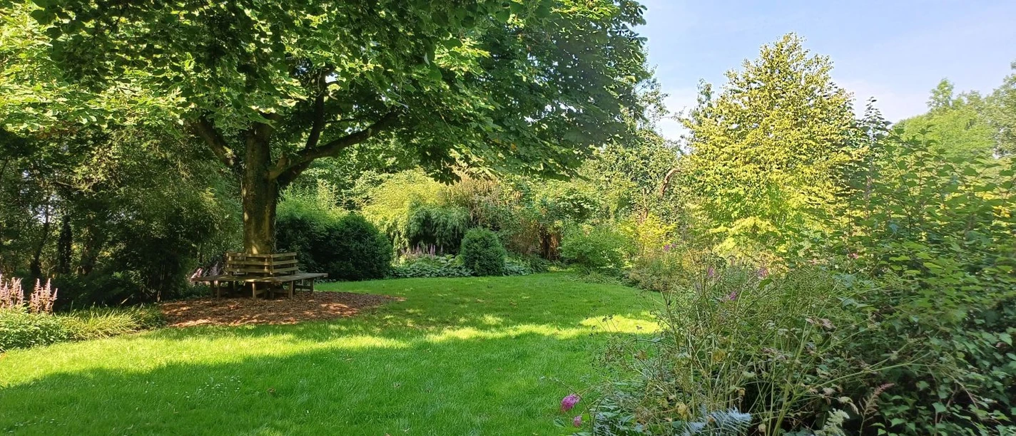 Mori Garten Einladender grüner Garten mit weiter Rasenfläche und einer Rundbank unter einem schattigen Baum.
