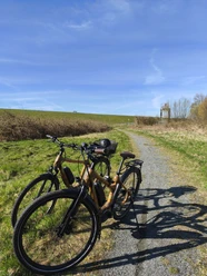 Brunsbüttel_Kali-Park_Bamboo-Fahrrad.jpg