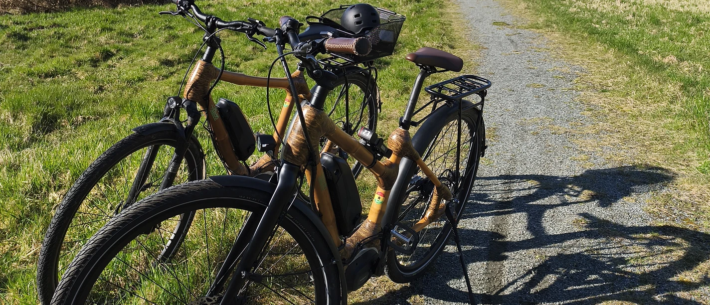 Brunsbüttel_Kali-Park_Bamboo-Fahrrad.jpg