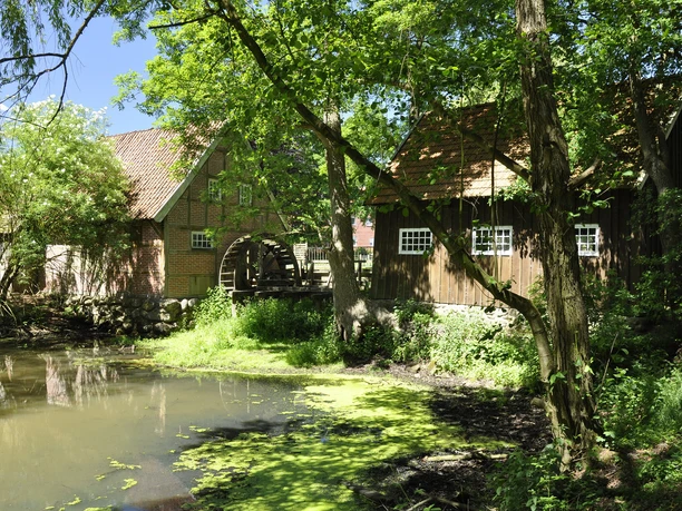 Wassermühle Bruneforth, Stavern ©Emsland Tourismus GmbH (6).jpg