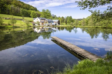 Mühlenteich Bienhof Wo Pfingsten die Mühlen klappern… – Das Mühlenfest 2025 lädt in der Region Bad Gottleba – Berggießhübel am 08. und 09.06.2025 ein