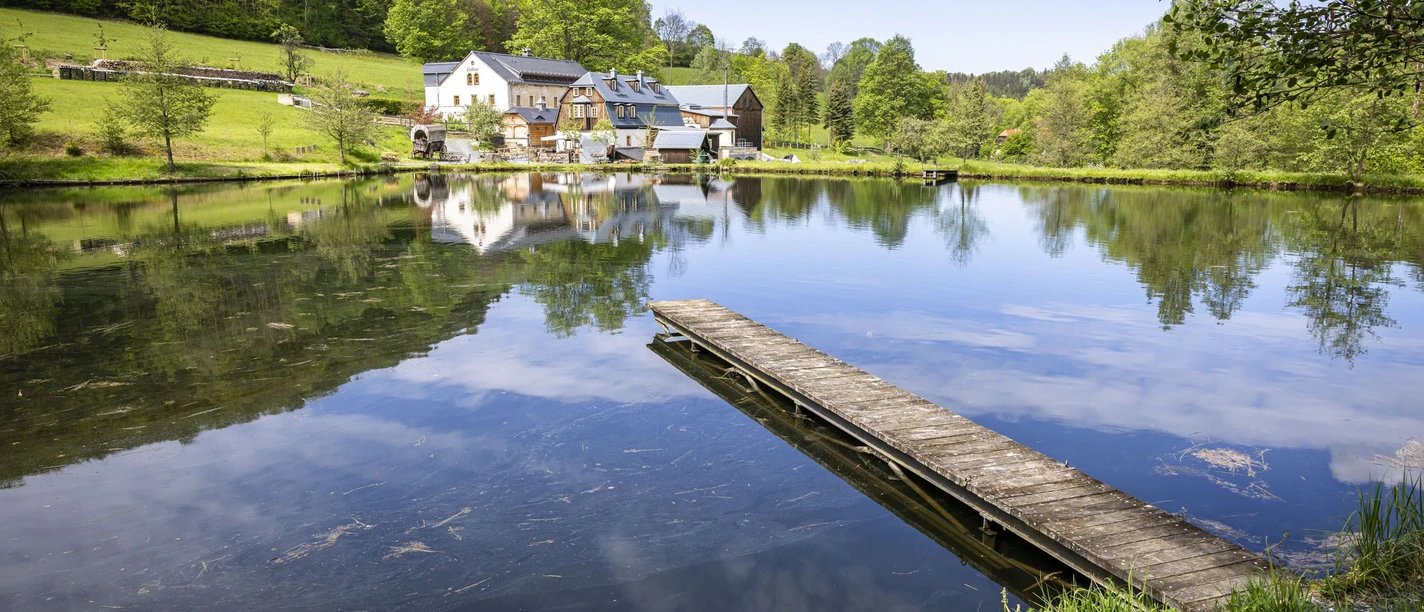 Mühlenteich Bienhof Wo Pfingsten die Mühlen klappern… – Das Mühlenfest 2025 lädt in der Region Bad Gottleba – Berggießhübel am 08. und 09.06.2025 ein