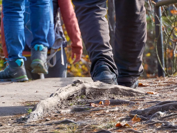 Wandernde Personen auf einem Weg, ein Baumstamm und herbstliche Blätter im Vordergrund.