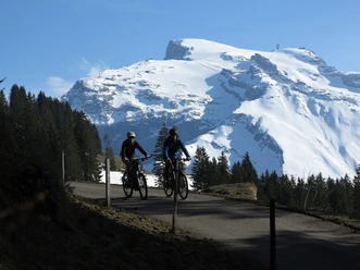 E-Bike Ristis