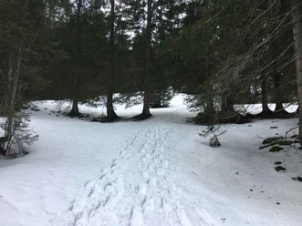 Alpoglen Trail