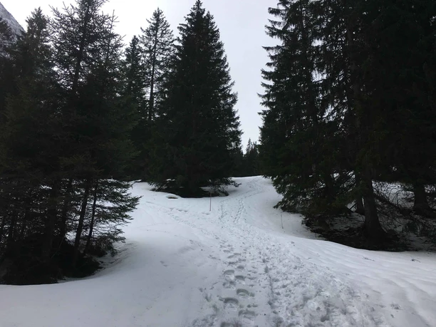 Alpoglen Trail