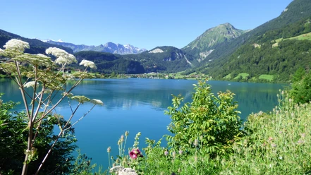Lungerersee