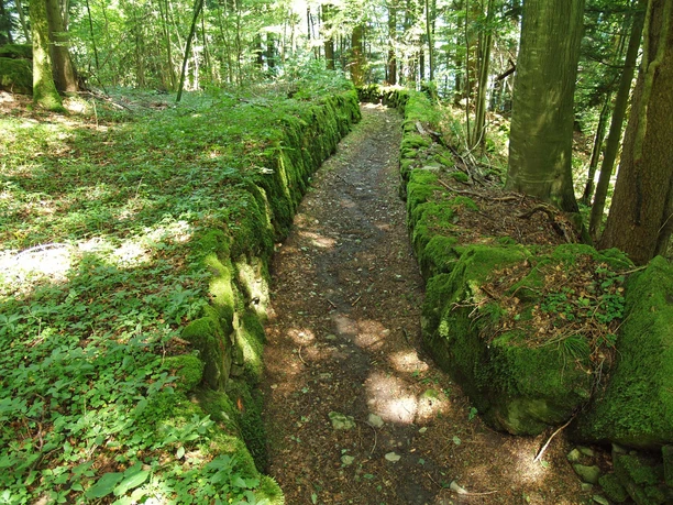 Über den alten Landweg ins romantische Isenthal.