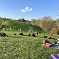 Yoga auf der Alpakaweide Yogaübungen auf einer grünen Wiese mit Alpakas im Hintergrund bei Sonnenuntergang.