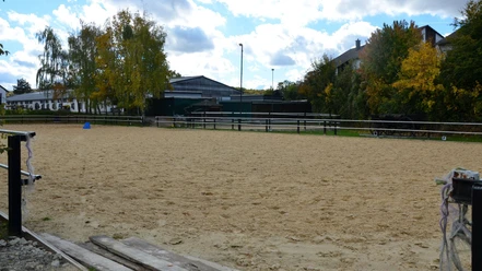 Sandiger Außenreitplatz mit heller Umzäunung vor Gebäuden und Bäumen.