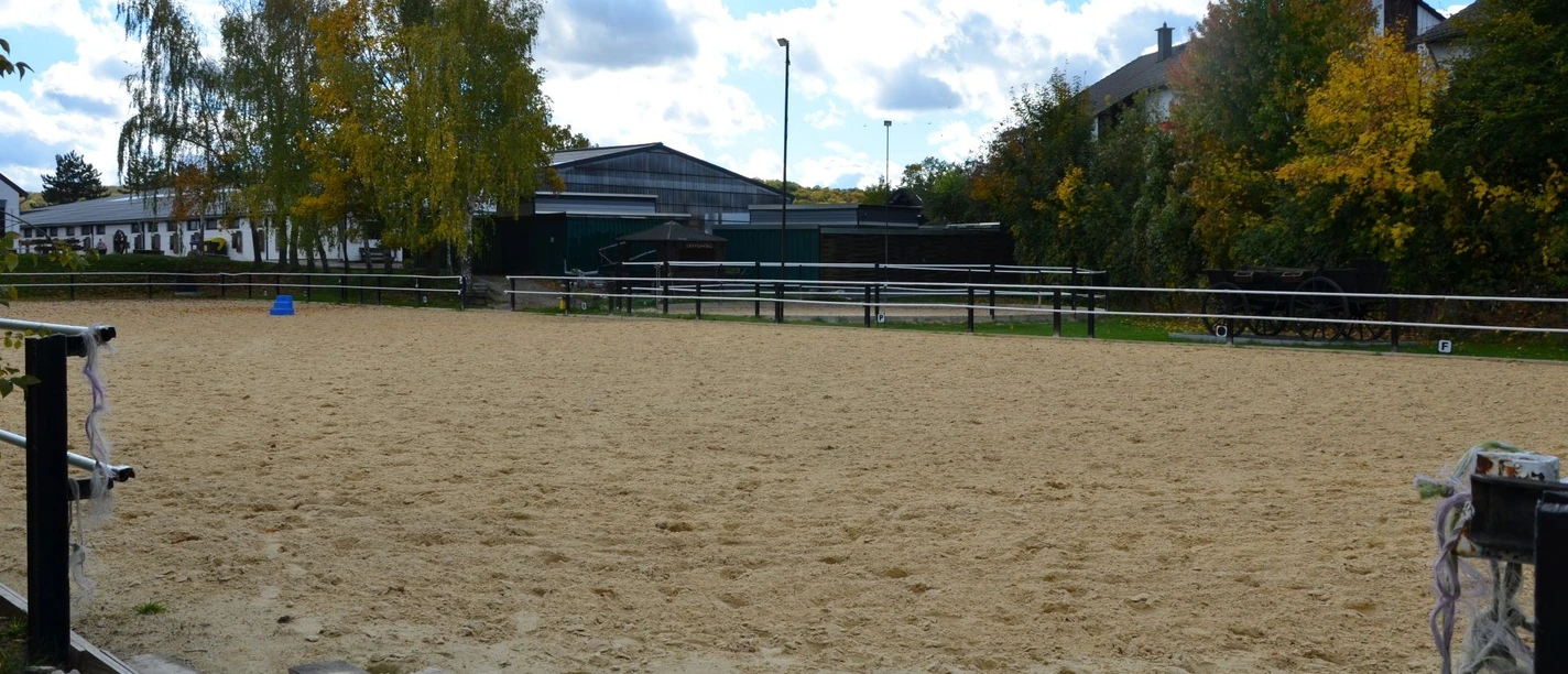 Sandiger Außenreitplatz mit heller Umzäunung vor Gebäuden und Bäumen.