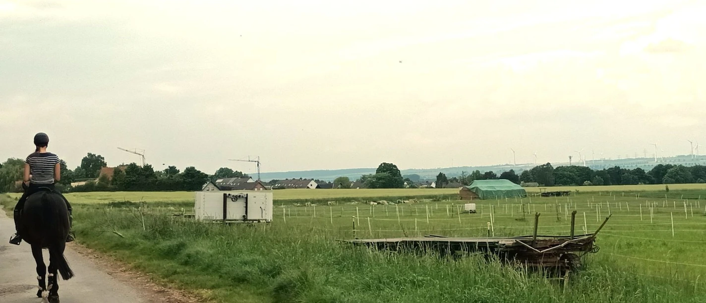 Person reitet auf einem dunklen Pferd einen Weg entlang, daneben weite grüne Pferdekoppeln.