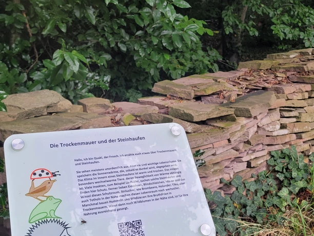 08-2025_Speukebusch_PrStroehen (7).jpg