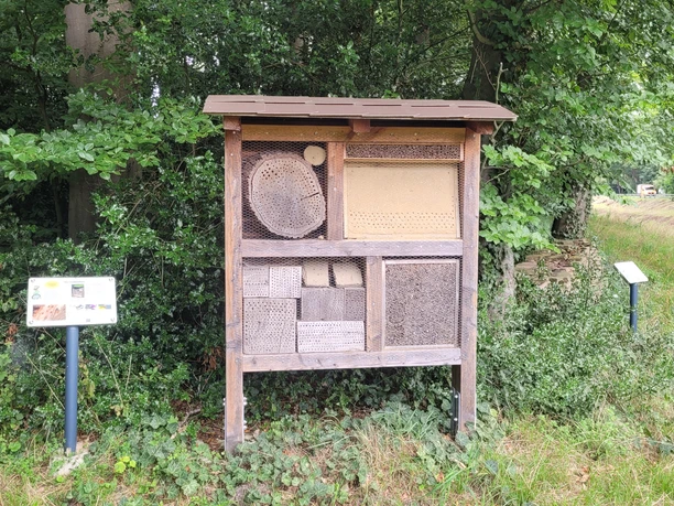 08-2025_Speukebusch_PrStroehen (8).jpg