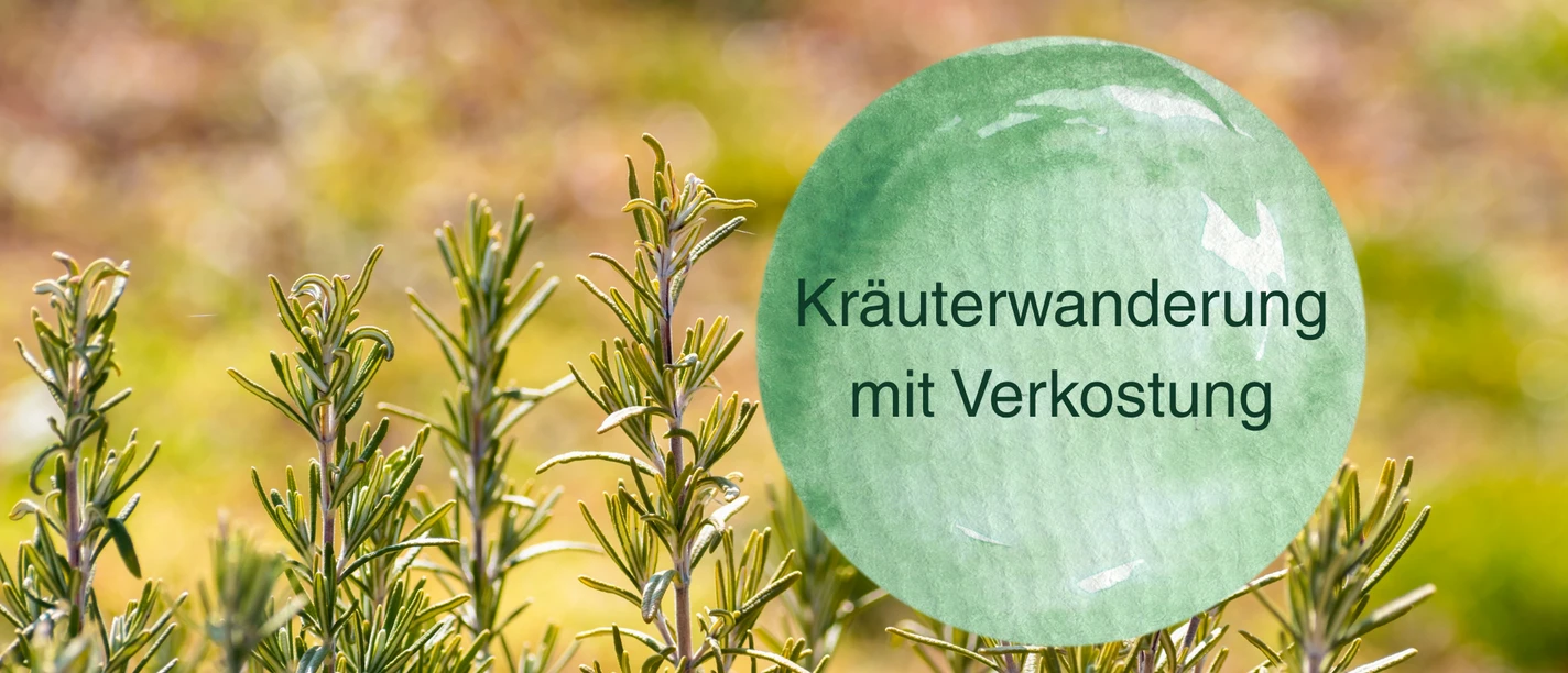 Kräuterwanderung