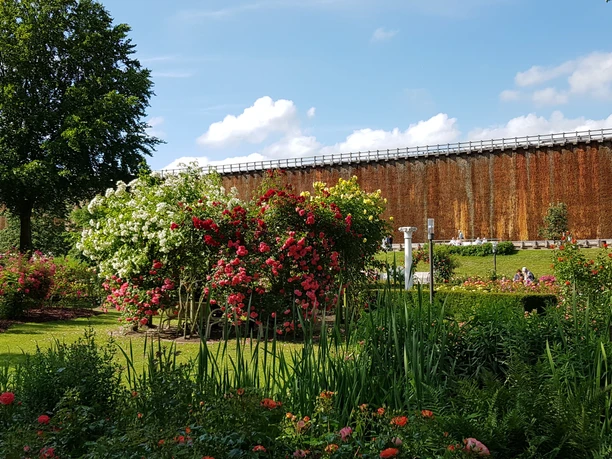 Rosengarten mit Brücke SLF.jpg Rosengarten mit Brücke SLF.jpg